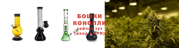 гидропоника Аркадак