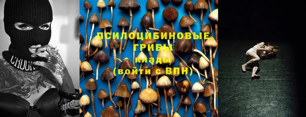 мдпв Армянск