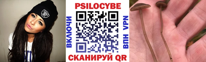 гидра как зайти Таруса Галлюциногенные грибы Psilocybe где продают